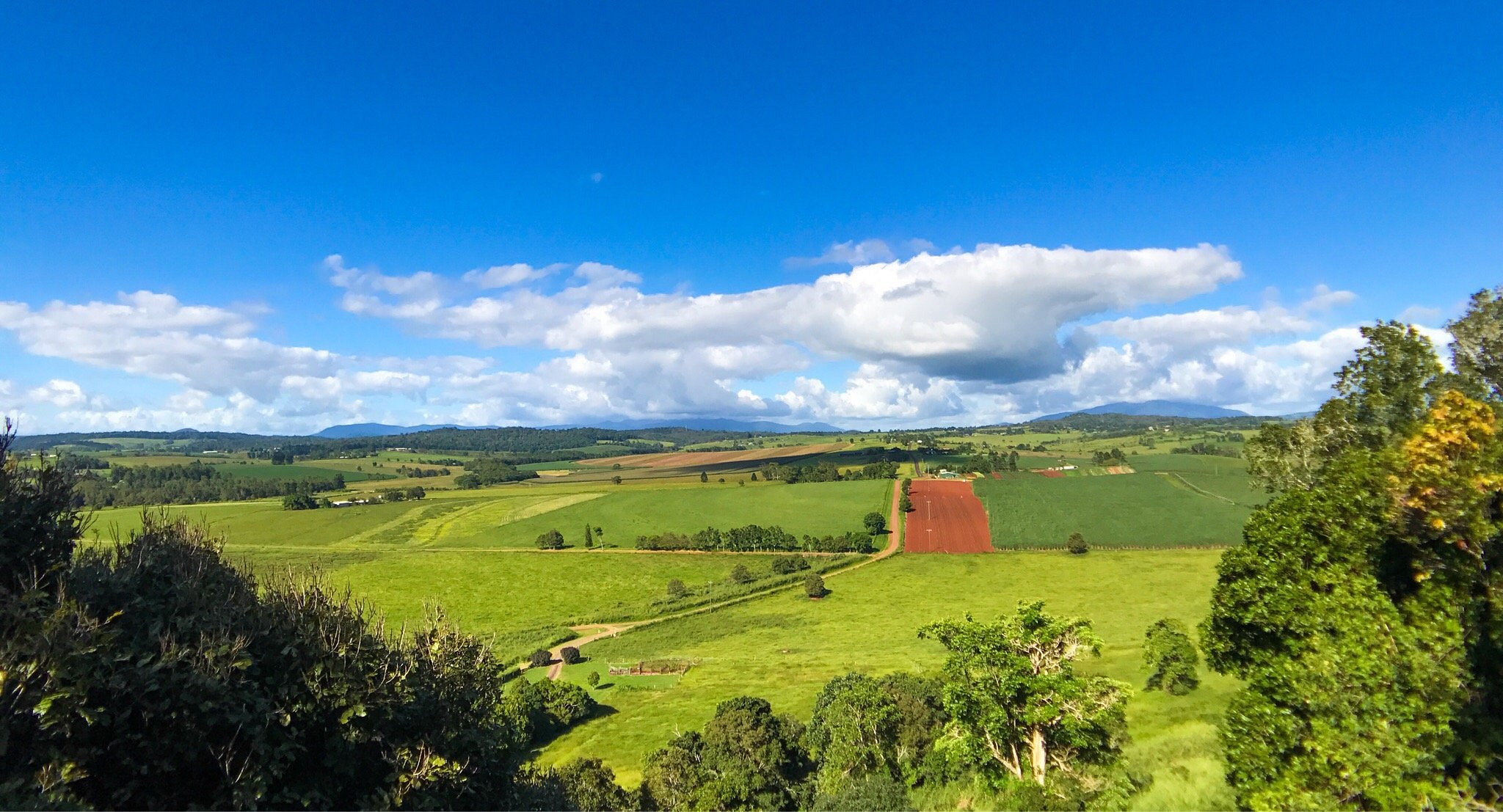 Weekend Getaway to Yungaburra: A Tranquil Escape from Cairns 🌿✨