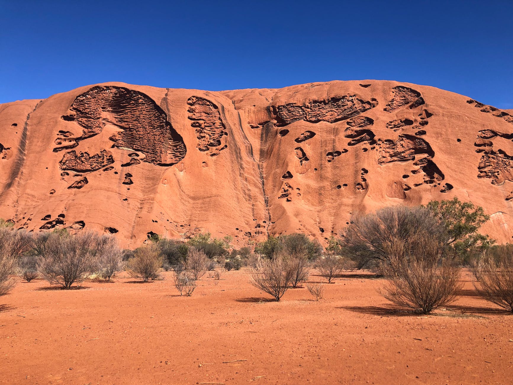 🌿My Ultimate Outback Experience: Meeting Ayers Rock & The Olgas