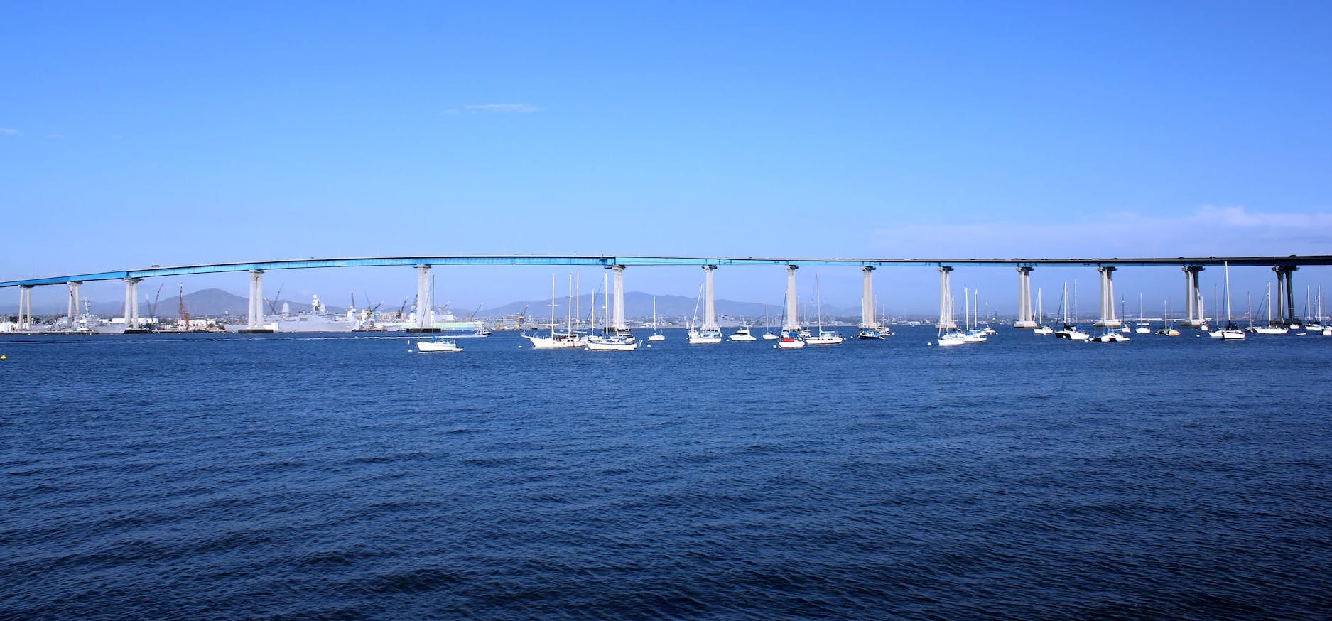 My Ultimate 7-Day San Diego Experience: Sun, Culture, Wildlife and Coastal Charm