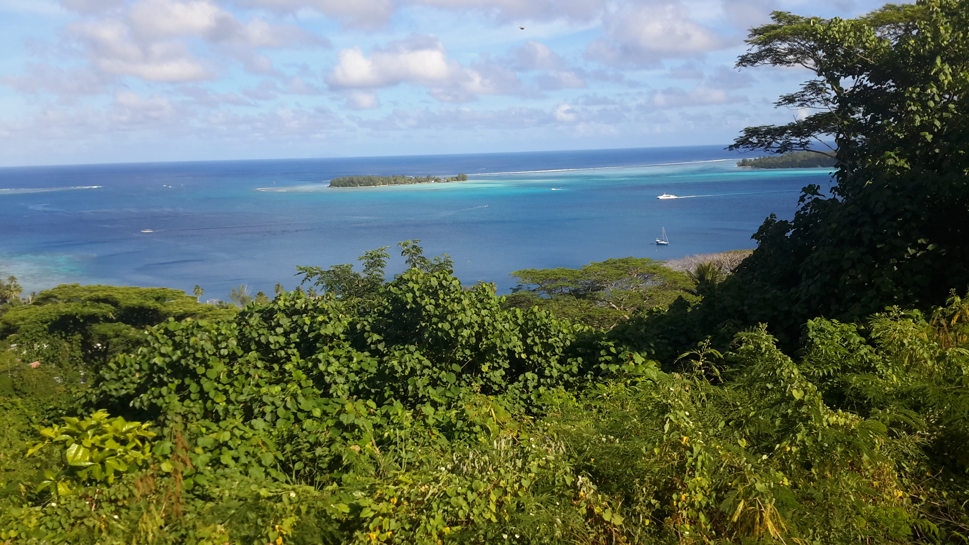 Bora Bora: Seeing the Pearl of the French Island Group through my lens