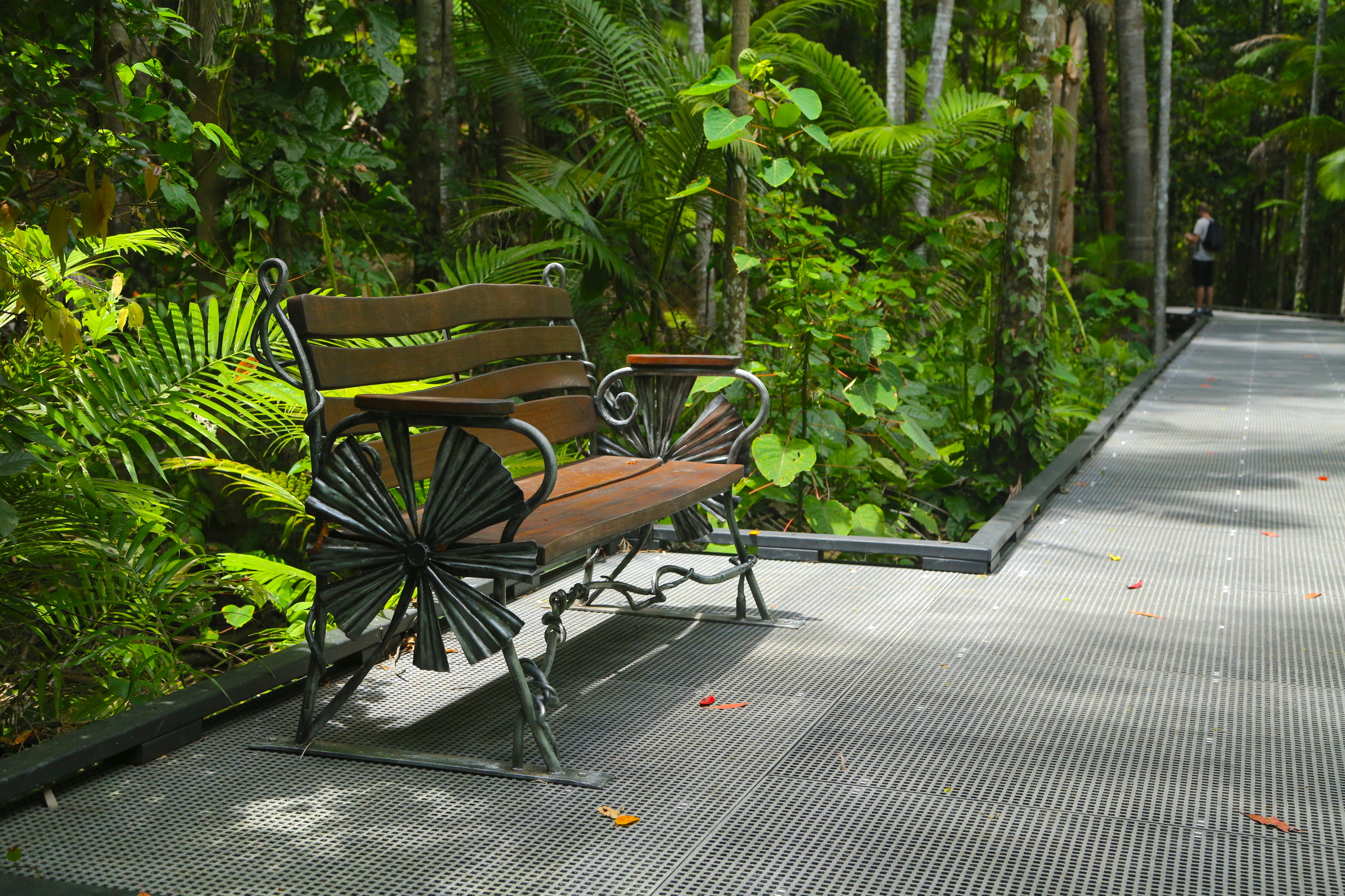 My ultimate Cairns bucket-List for activities and experiences
