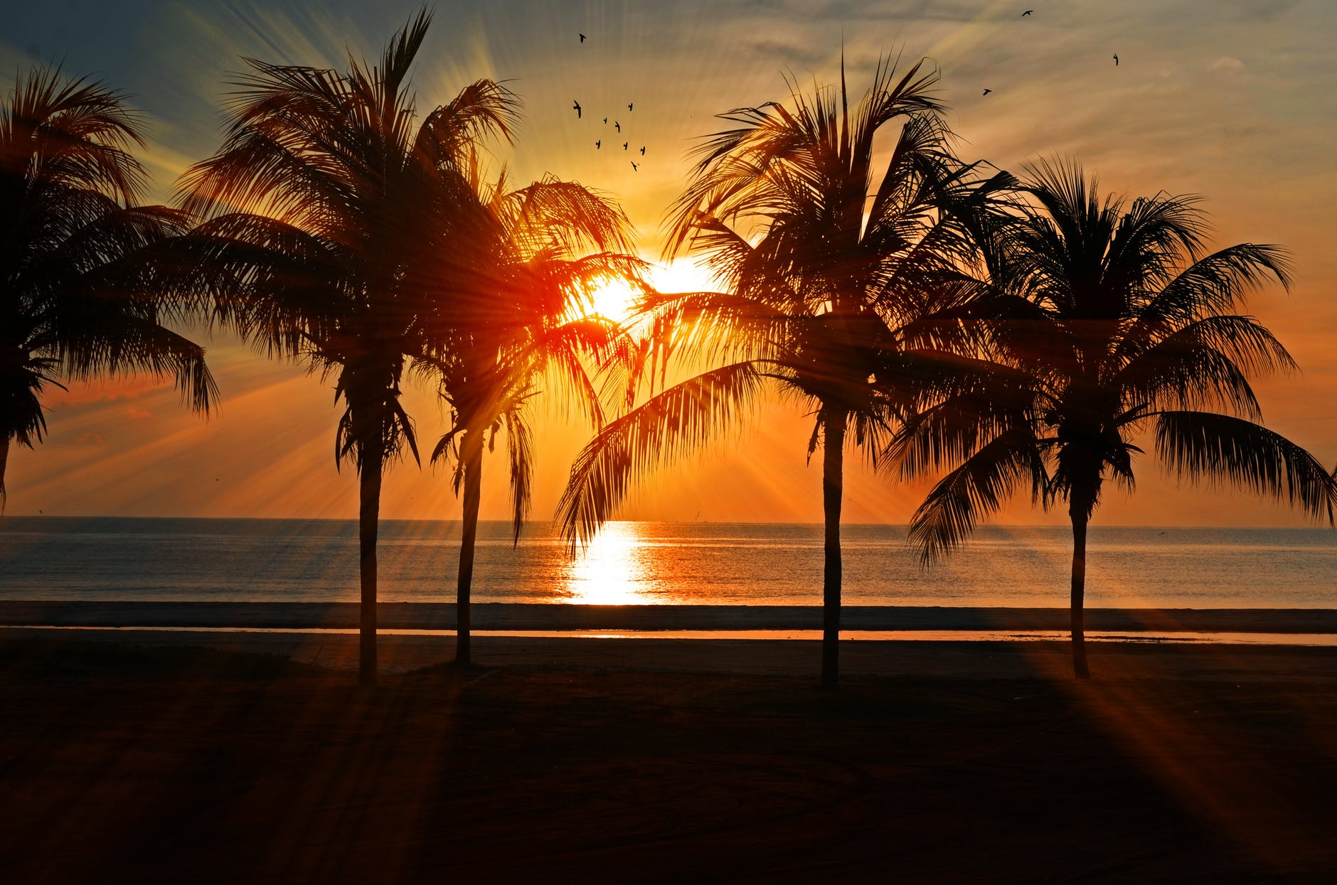 Sunrise Spectacular