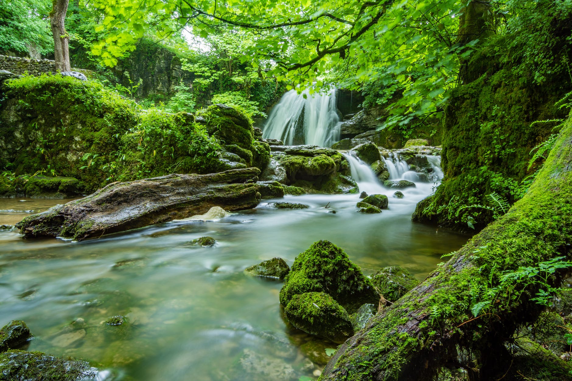 The Ultimate Natural Wonders of Tropical North Queensland.