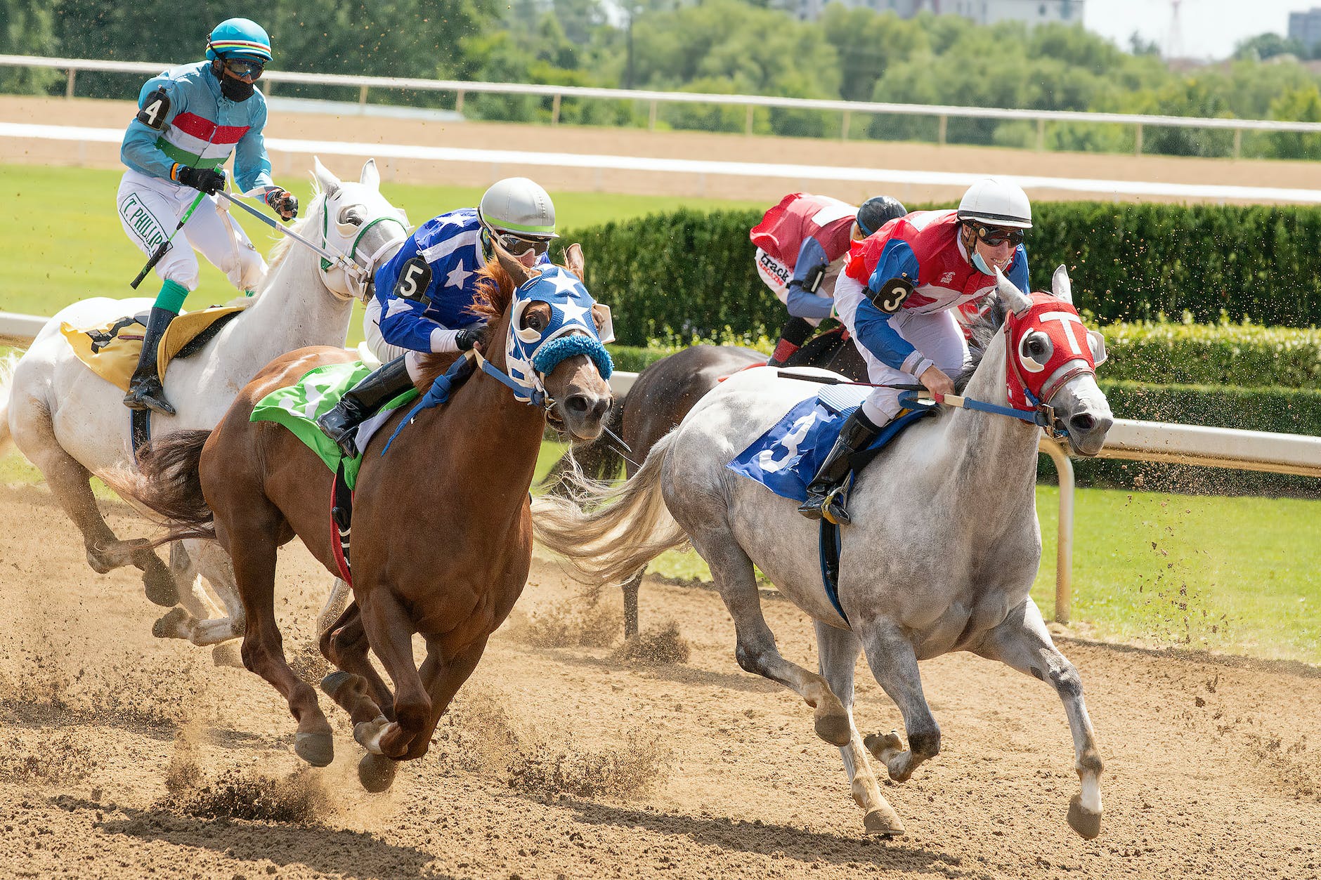 An Animal Race that Stops the Nation – Melbourne Cup