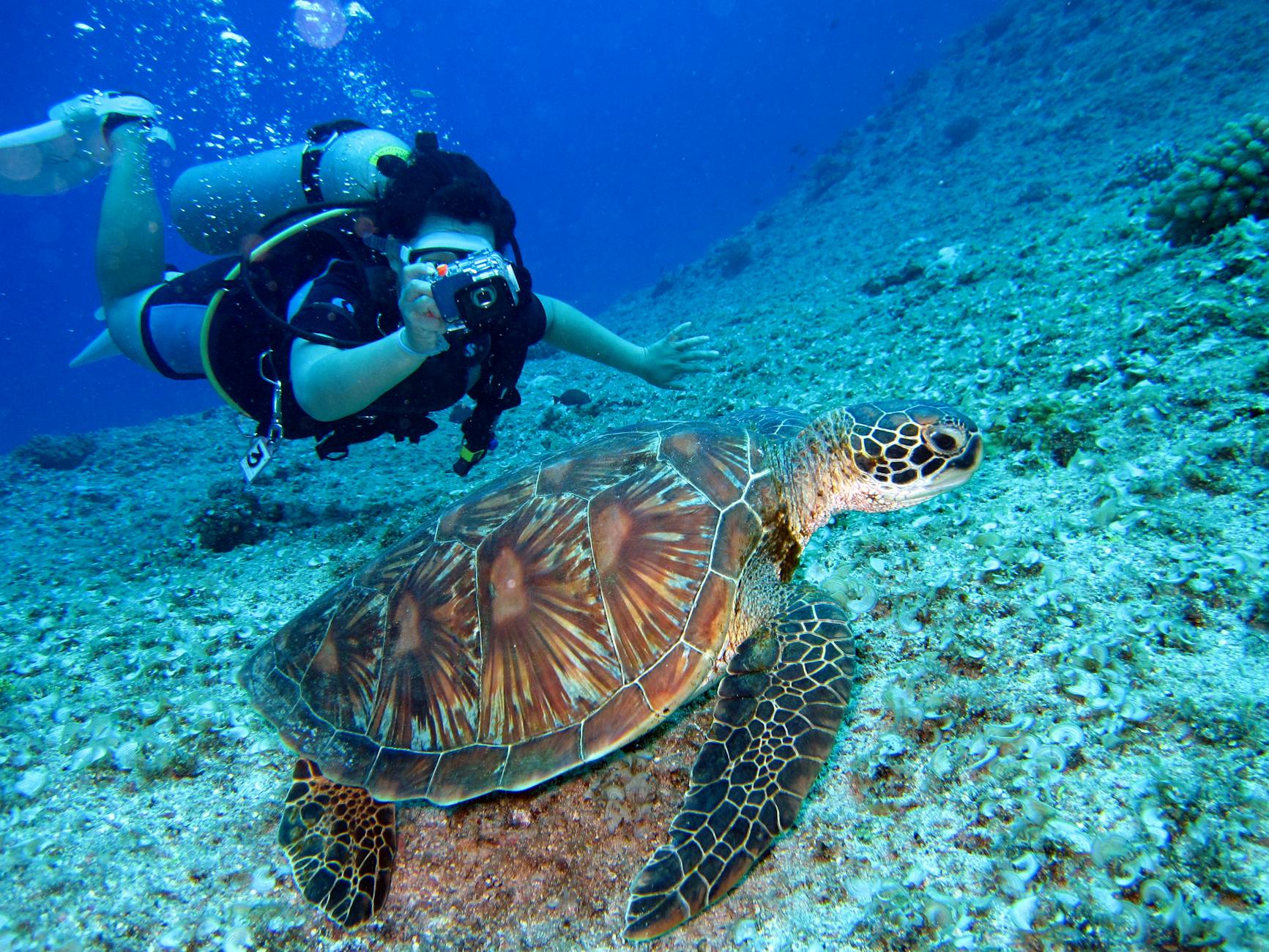Why Choose Cairns as your prefered holiday destination